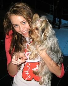 poze cu miley - saya - miley cirus<viata privata departe de hannah>